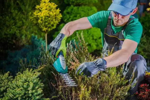 landscaping services Hazel Park